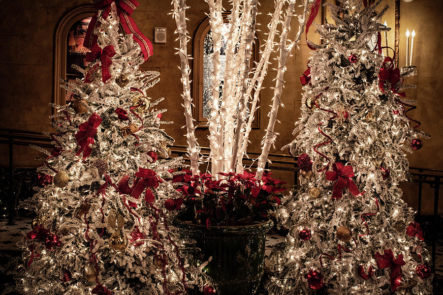 Holiday-christmas At The Rittenhouse Hotel Photograph