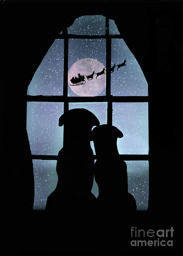 Holiday Christmas Cute Dogs in Window Santa and Snow Photograph by Stephanie Laird