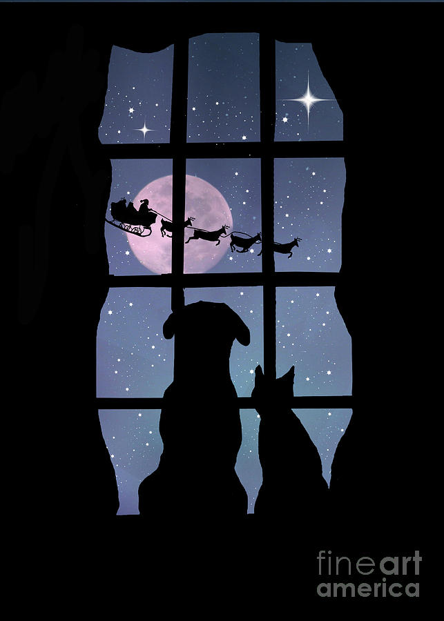 Holiday Cute Dog and Cat in Window Watching Santa Photograph by Stephanie Laird