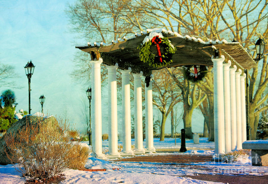 Holiday decorated pergola Photograph by Janice Drew