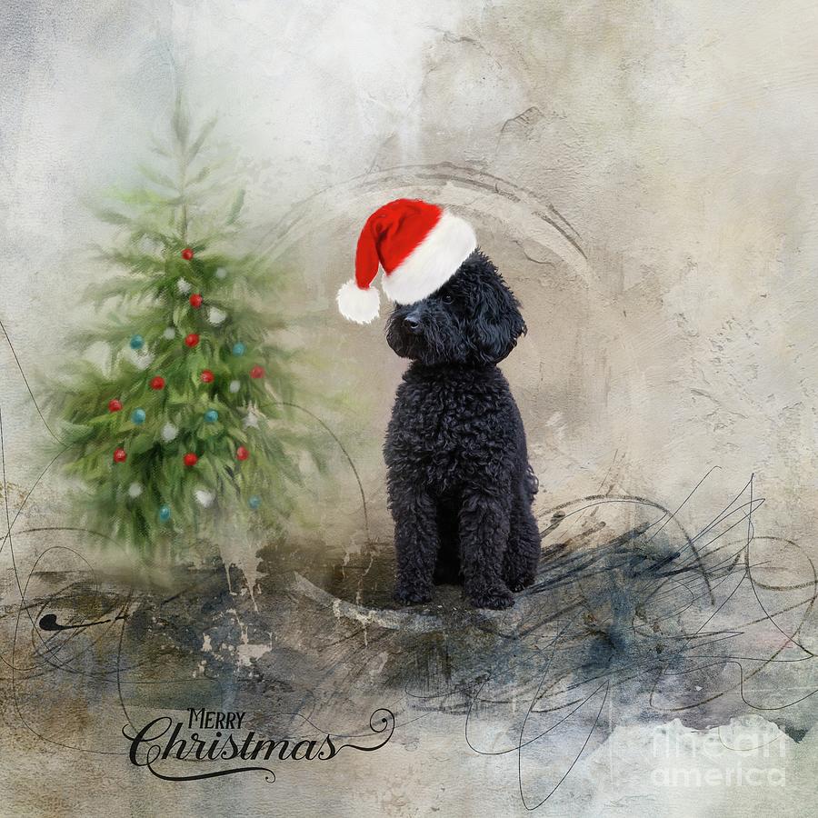 Christmas Mixed Media - Holiday Greeting by Eva Lechner
