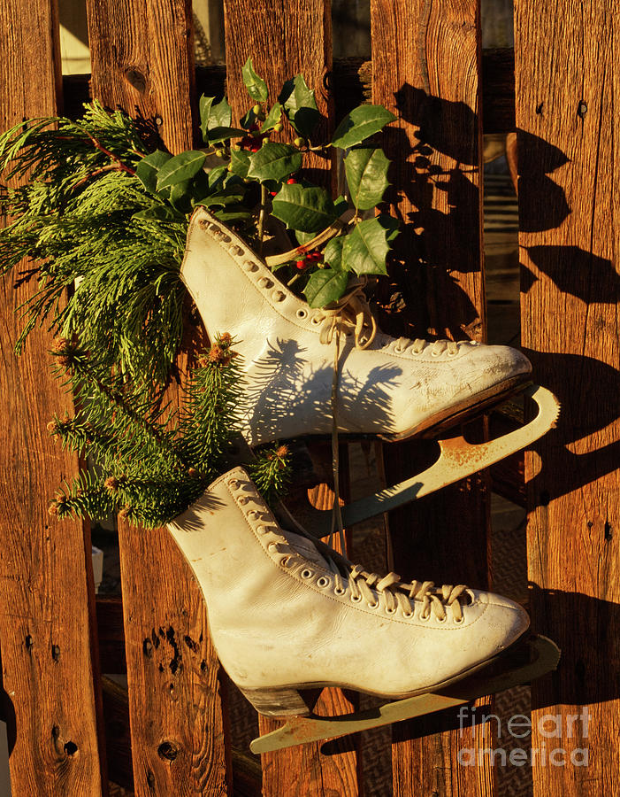 Sports Photograph - Holiday Ice Skates  by Iris Richardson
