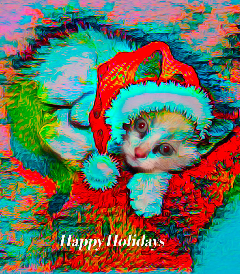 Holiday Kitty Photograph by Patricia Dennis