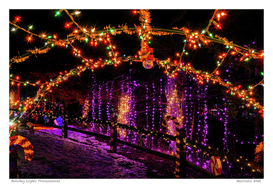 Holiday Light Processional The Signature Series Photograph by Angelo Marcialis