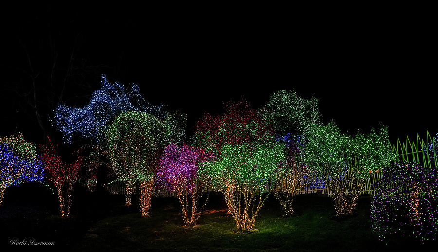 Holiday Lights 2020 Photograph by Kathi Isserman
