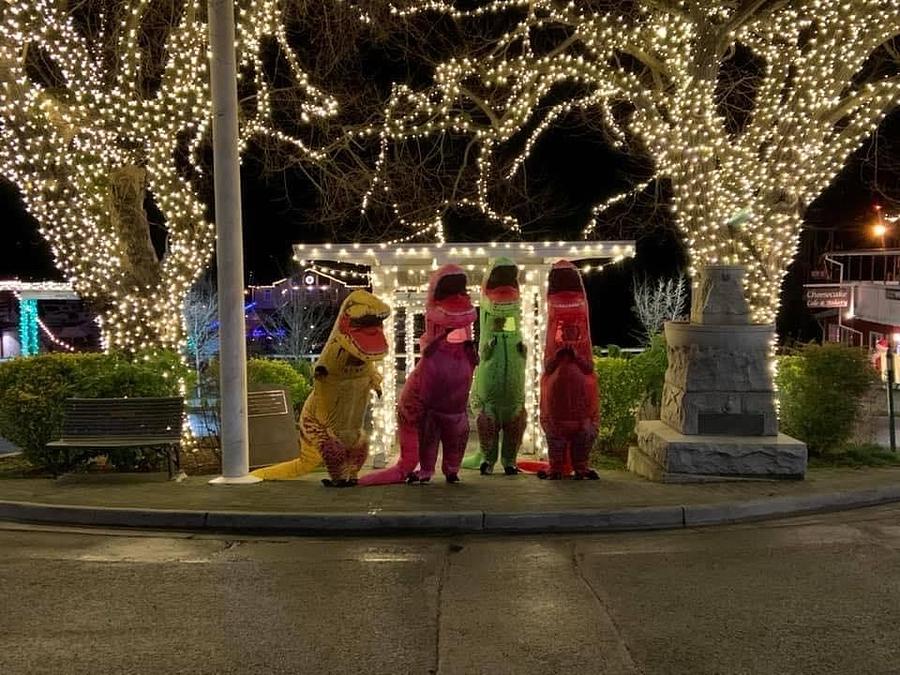 Holiday Lights and T-Rexes Photograph by Brenna Woods