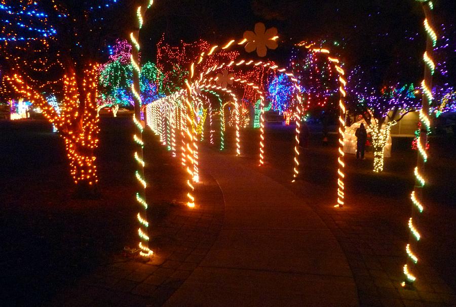 Holiday lights walk Photograph by Jean Evans