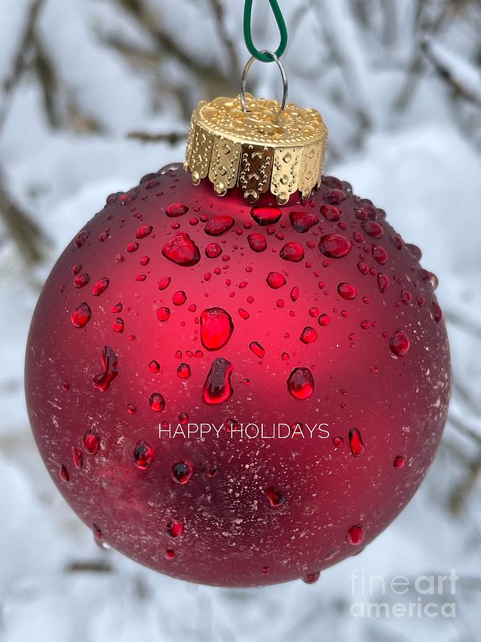 Holiday Red Photograph by Diana Rajala