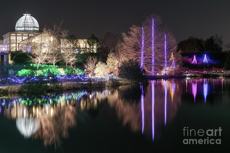 Holiday Reflections Photograph by Ava Reaves