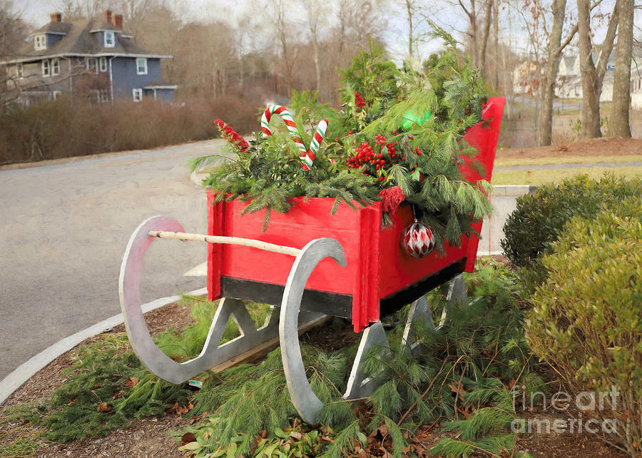 Holiday sleigh Photograph by Janice Drew