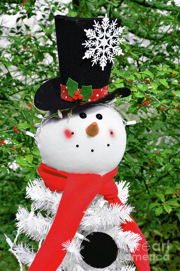 Holiday Snowman Creation Photograph