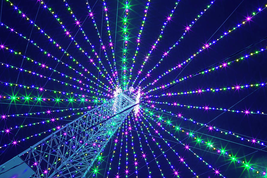 Holiday Tree Of Lights Photograph