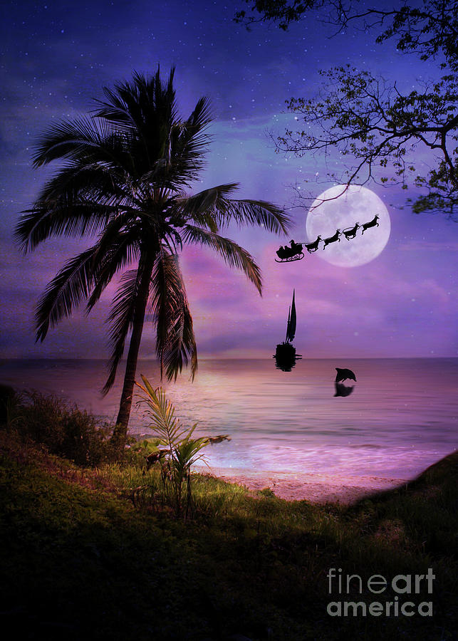 Holiday Tropical with Sailboat Dolphin and Santa Palm Trees Photograph by Stephanie Laird