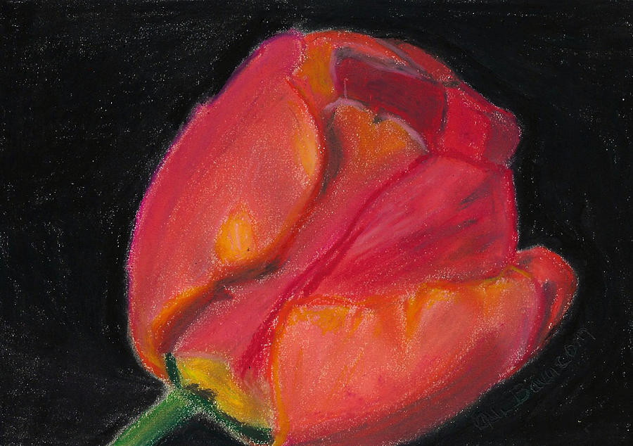 Holland Hand Drawn Oil Pastel Tulip Drawing by Ali Baucom