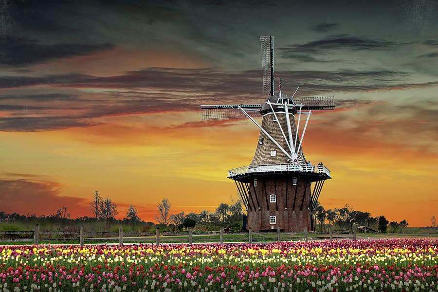 Holland Michigan Dutch Windmill  Photograph by Randall Nyhof