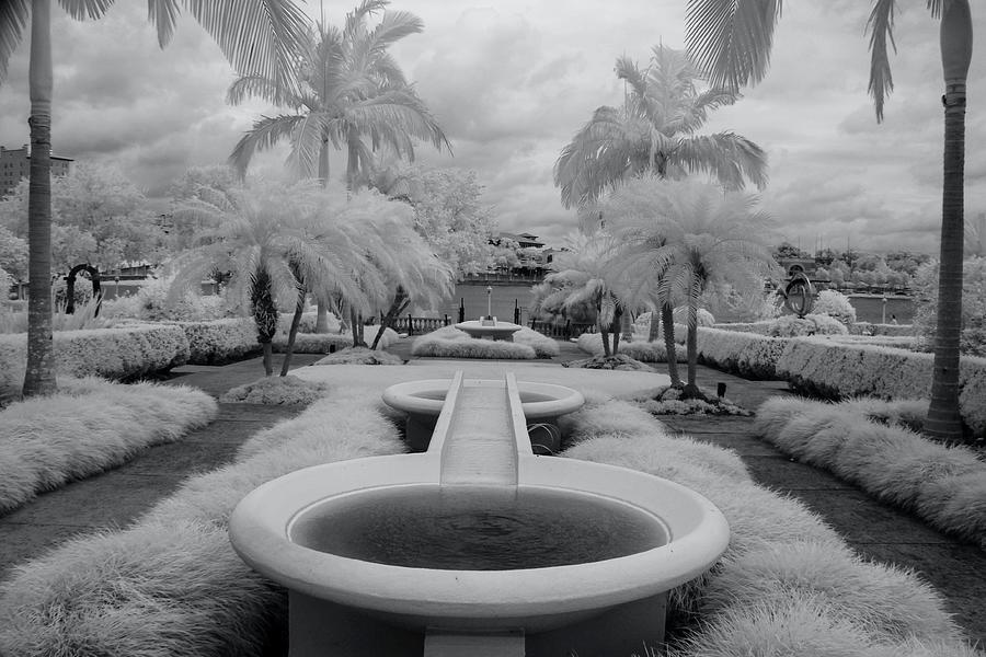Hollis Garden Swan Fountain  Photograph by Amy Curtis