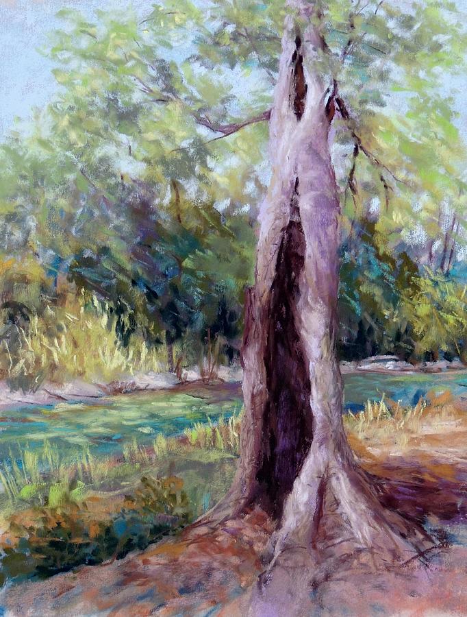 Hollow Tree on the Creek Pastel by Candy Mayer
