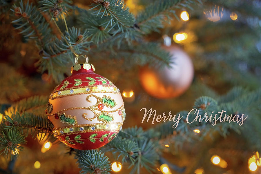 Holly Jewels Ornament - Merry Christmas Photograph
