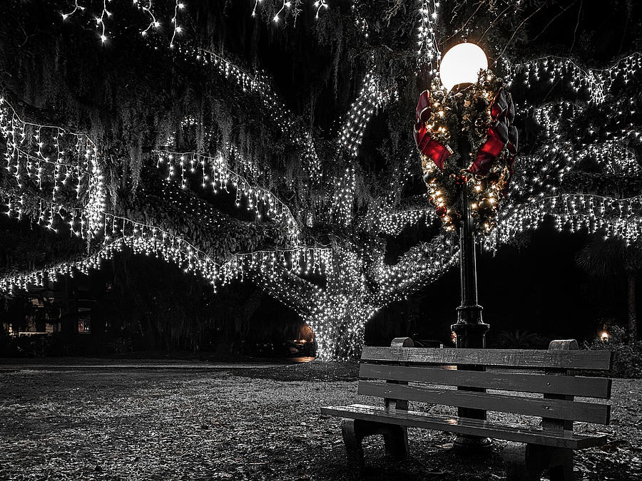 Holly Jolly Jekyll Christmas Celebration, Jekyll Island, Georgia 6 by Dawna Roaming Near and Far Holly Jolly Jekyll Christmas Celebration, Jekyll Island, Georgia 6 by Dawna Roaming Near and Far