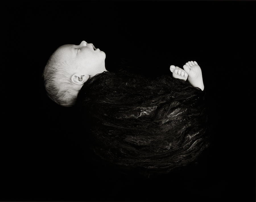 Black & White Photograph - Holly in Black Silk by Anne Geddes