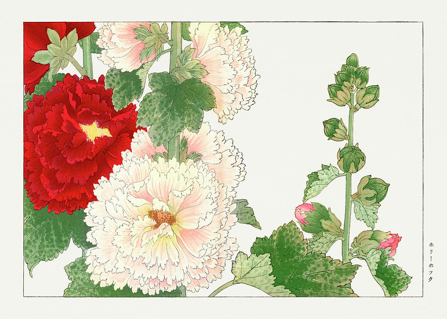 Hollyhock Flower - Ukiyo e art - Vintage Japanese woodblock art - Seiyo SOKA ZUFU by Tanigami Konan Digital Art by Studio Grafiikka