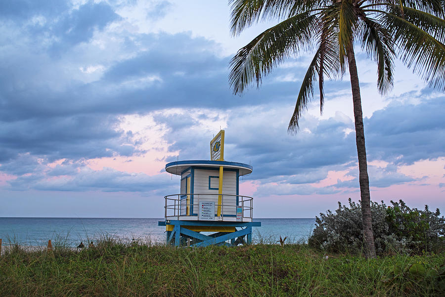 Hollywood Beach Florida Lifeguard House and Palm Tree at Sunset Photograph by Toby McGuire