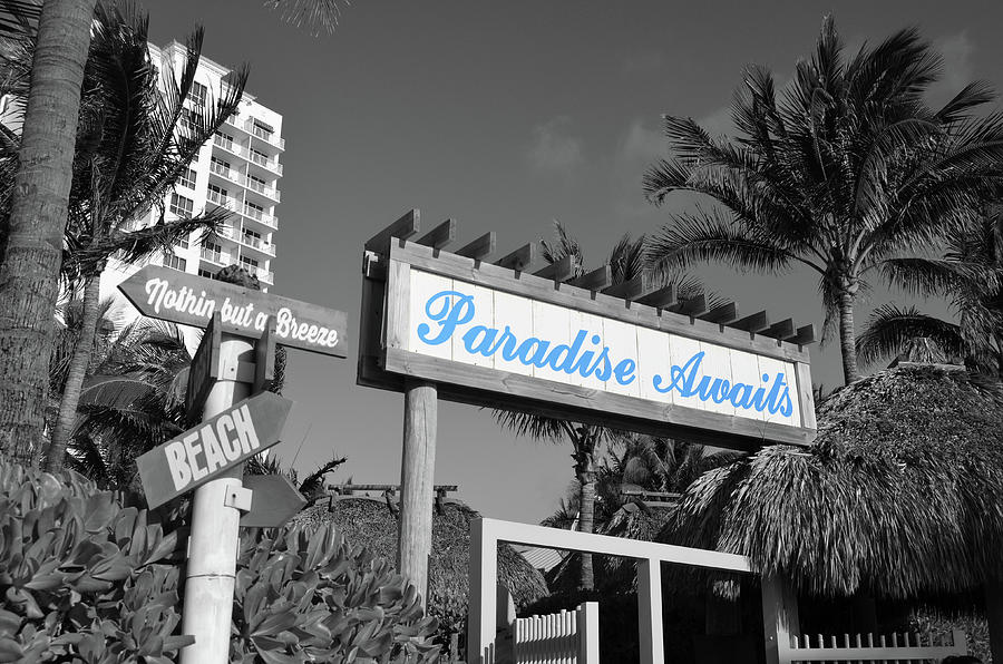 Hollywood Beach Paradise Awaits Sign Fort Lauderdale Florida Baby Blue Color Splash Digital Art by Shawn OBrien