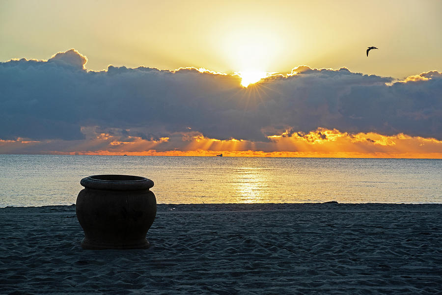 Hollywood Beach Vase and Vase at Sunrise Hollywood Florida Photograph by Toby McGuire