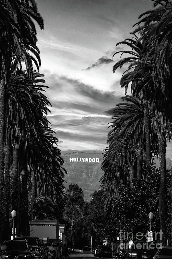 Hollywood Black and White Photograph by Marco Groppo - Fine Art America