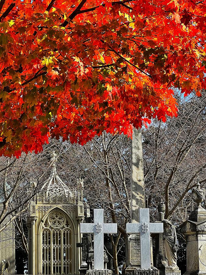 Hollywood Cemetery fall Photograph by Stephen Dorton