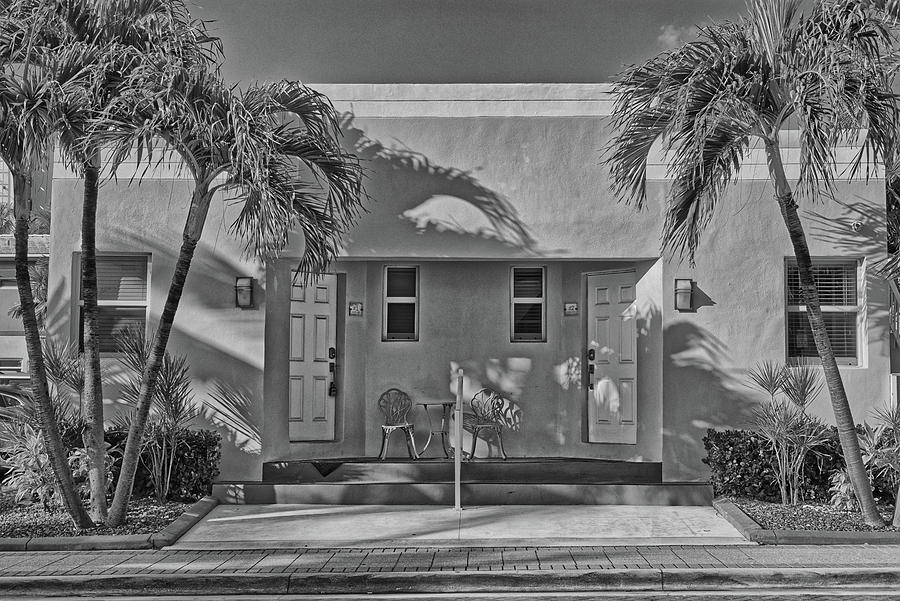 Hollywood, Florida Palm Trees Photograph by Alan Goldberg