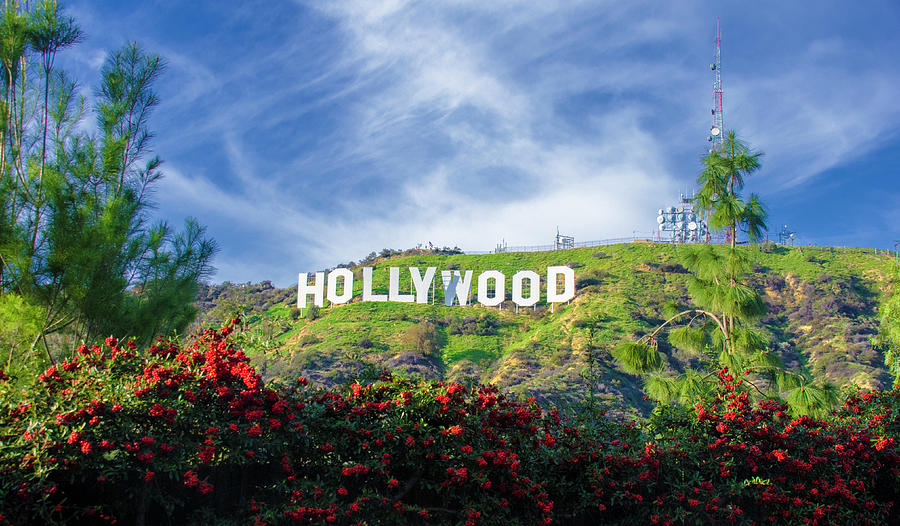 Hollywood Photograph by Karen Cox