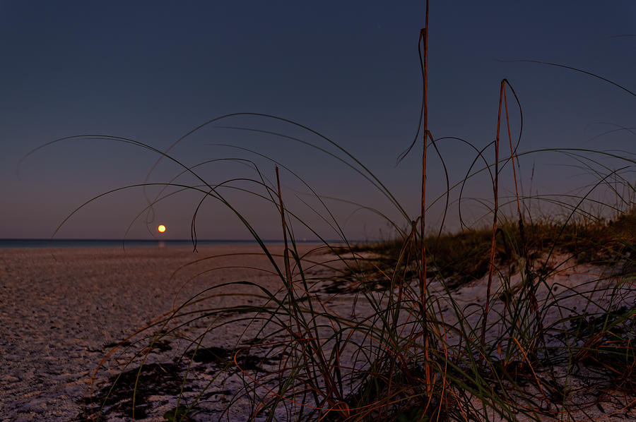 Holmes Beach Moon Photograph by ARTtography by David Bruce Kawchak