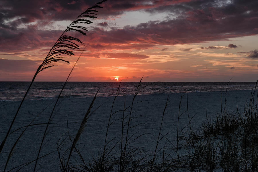 Holmes Beach Sunset2 Photograph by ARTtography by David Bruce Kawchak