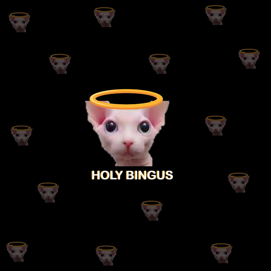 holy bingus cat Poster girl Painting by White Ian - Pixels