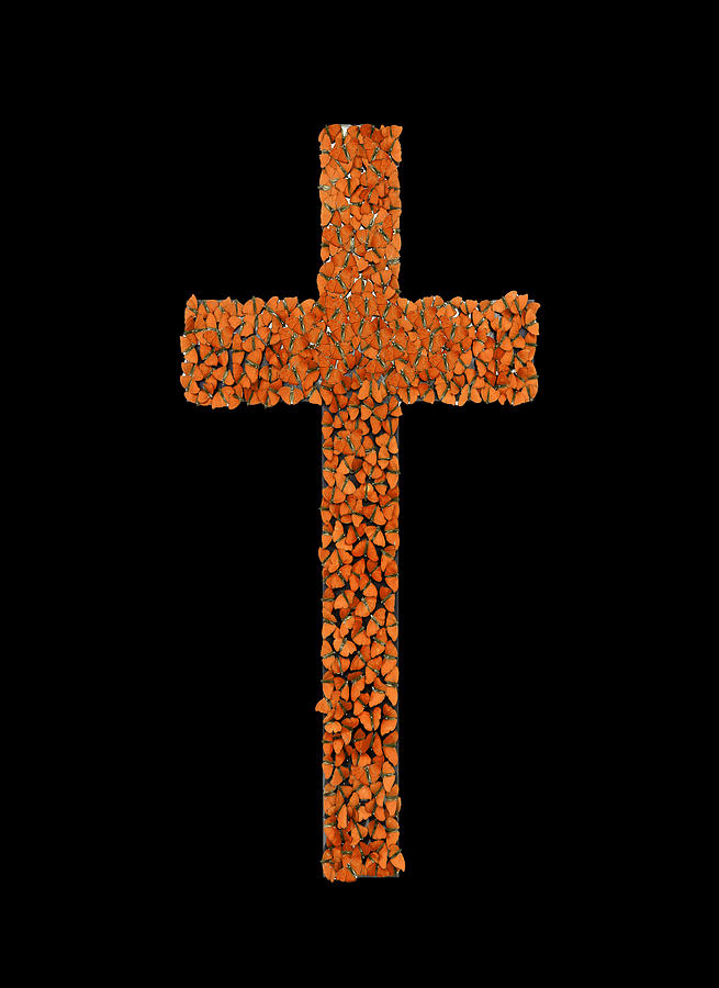 Holy Cross in Orange Digital Art by Scott Fulton