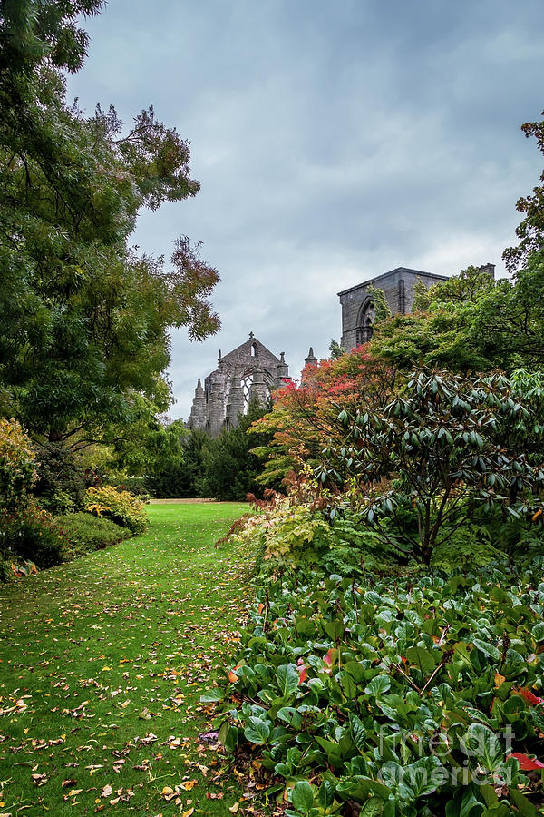 Holyrood Abbey and Palace Photograph by Elizabeth Dow