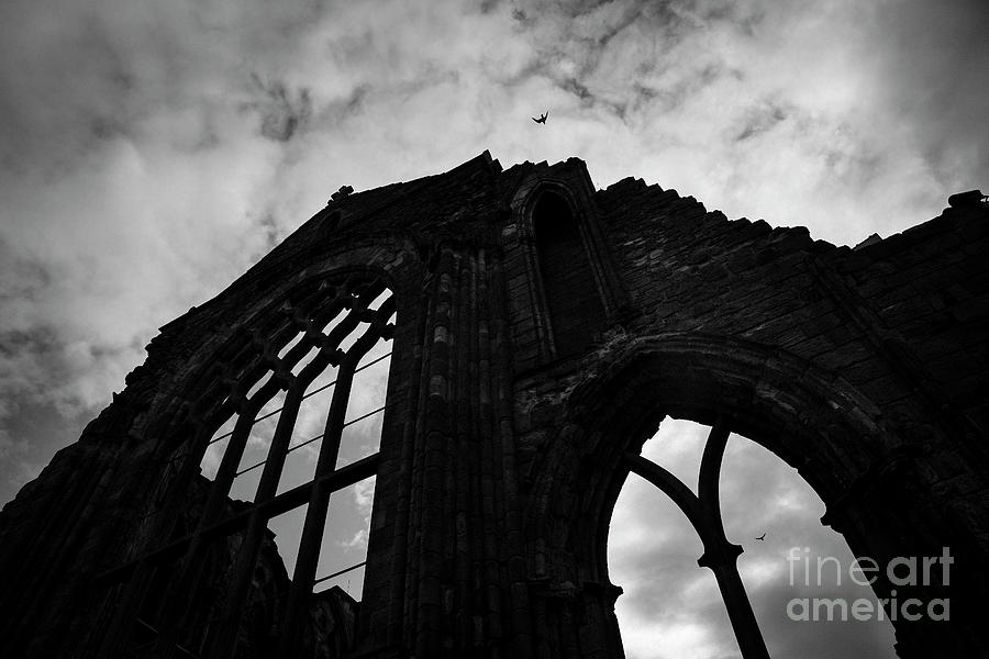 Holyrood Abbey Silhouette Photograph