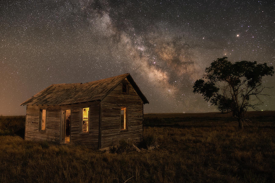 Home Alone Photograph by Chuck Rasco Photography - Fine Art America