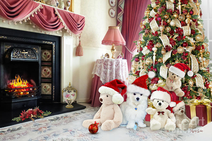 Maltese Dog Mixed Media - Home at Christmas by Morag Bates