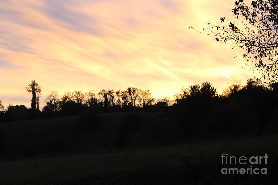 Home Photograph by Audrey Fields - Fine Art America