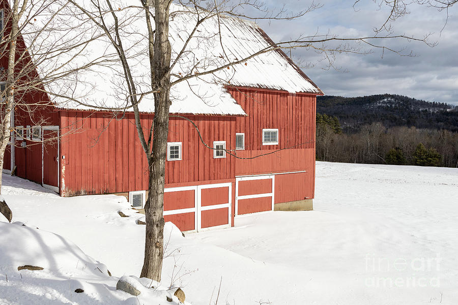 Home for Christmas Red Barn in Winter Landscape Photograph by Edward Fielding