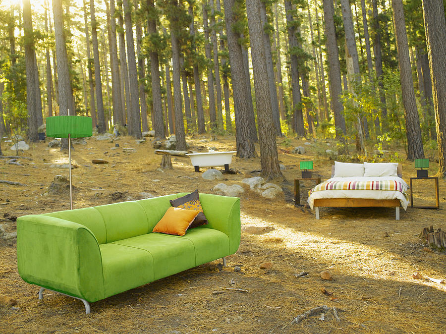 Home furnishings in the middle of the woods Photograph by OJO Images