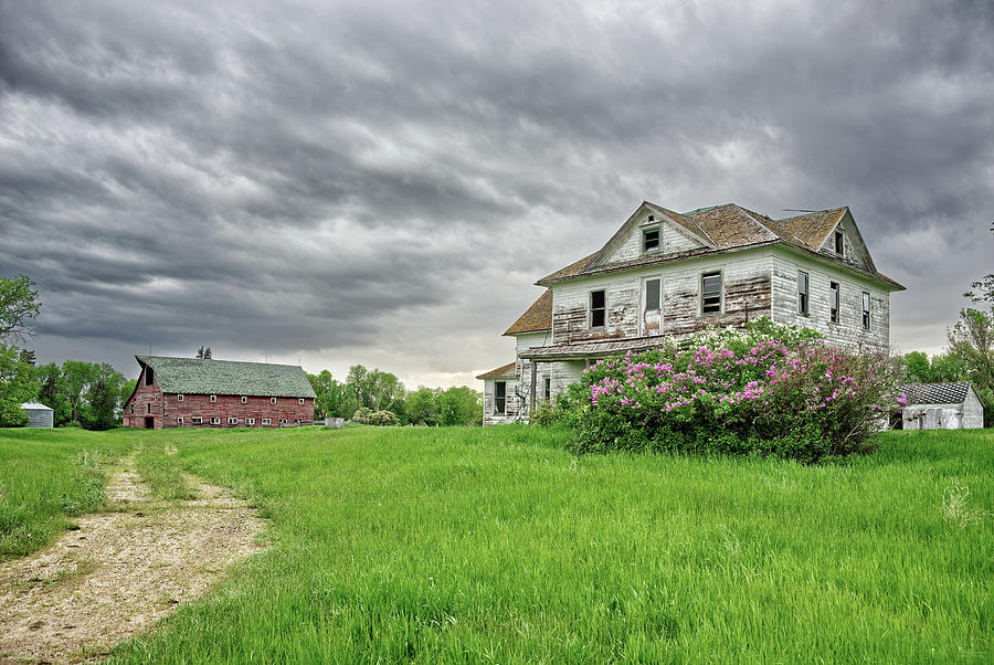 Home is Where the Lilacs Bloom - 2 of 2 - abandoned Solberg homestead in rural ND Photograph by Peter Herman