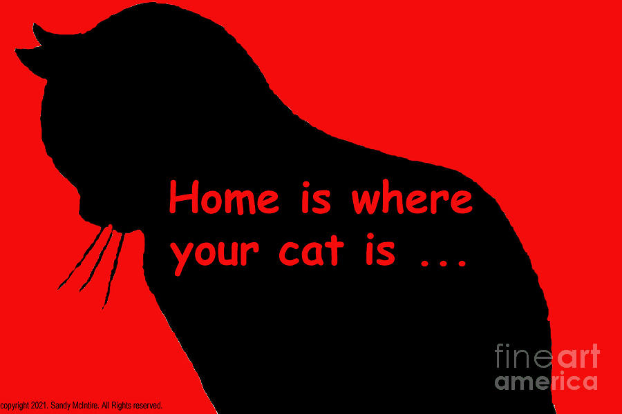 Home Is Where Your Cat Is Digital Art by Sandy McIntire