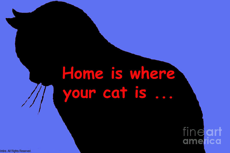 Home is where your cat is TWO Digital Art by Sandy McIntire