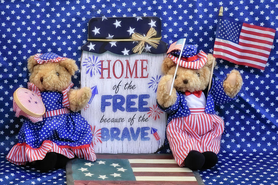 Independence Day Photograph - Home of the Free Because of the Brave by Donna Kennedy