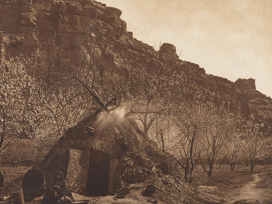Home of the Havasupai 1903 Photograph by Edward S Curtis Home of the Havasupai 1903 Photograph by Edward S Curtis