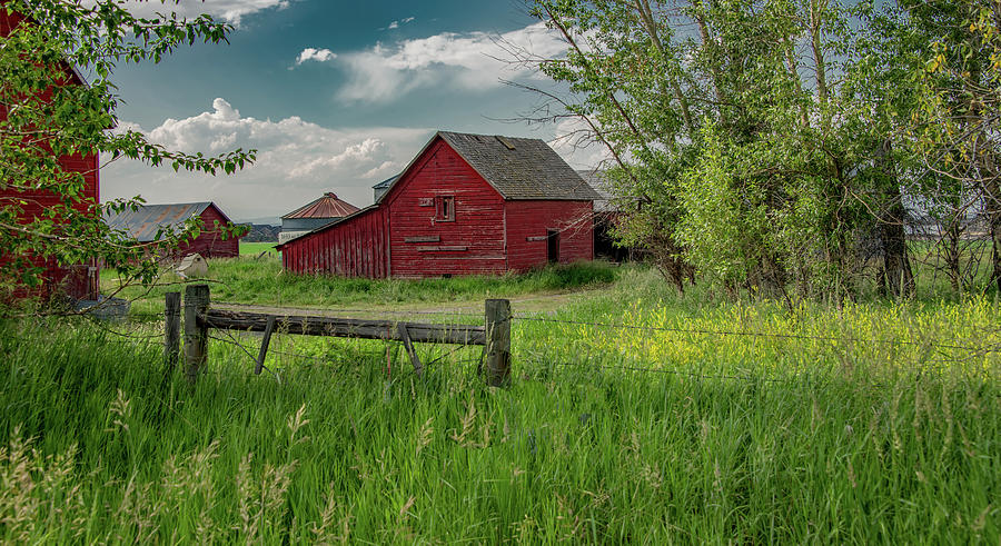 Home on the Farm in Montana Photograph by Marcy Wielfaert