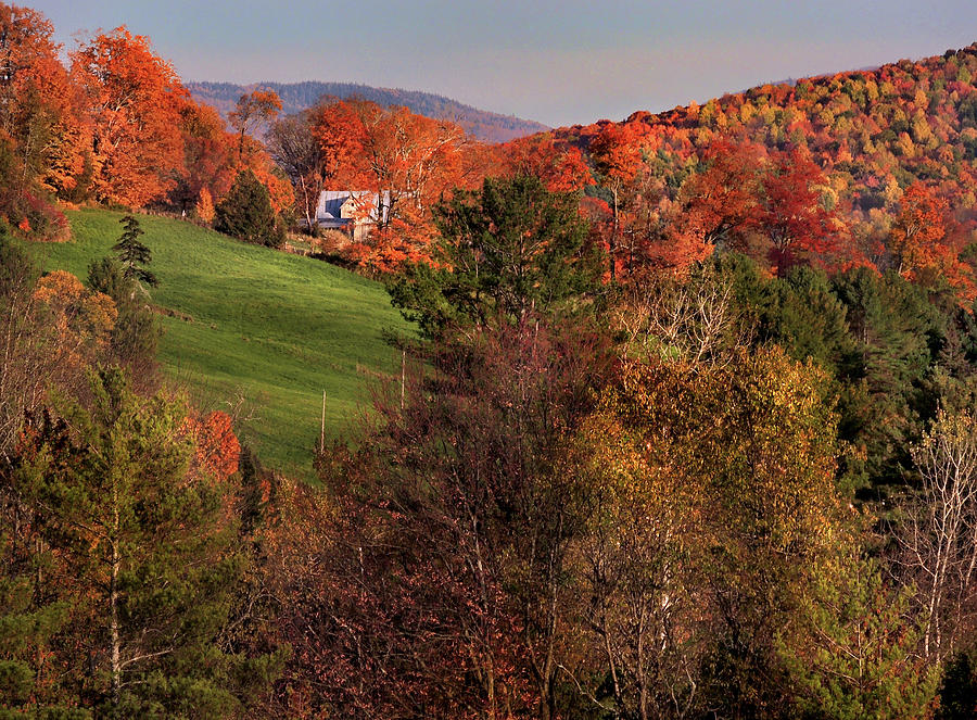 Home on the Peacham Vermont Hills Photograph by Nancy Griswold